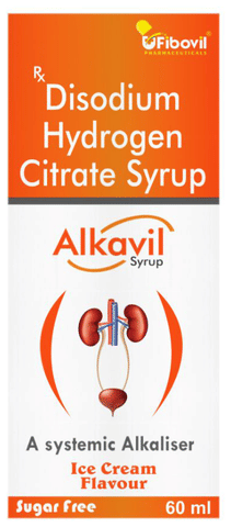 Alkavil Syrup Ice Cream Sugar Free