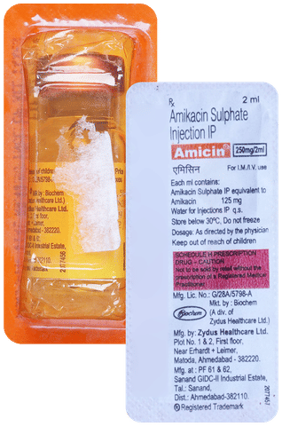 Amicin 250mg Injection