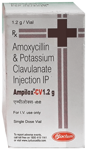Ampilox CV 1000 mg/200 mg Injection