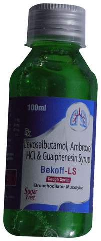 Bekoff-LS Syrup Sugar Free