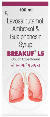 Breakuf LS Syrup