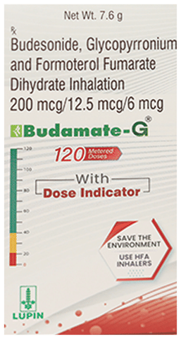 Budamate-G Inhaler