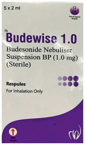 Budewise 1.0 Respule (2ml Each)