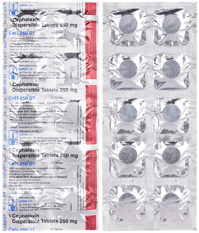 Ceff 250mg Tablet DT