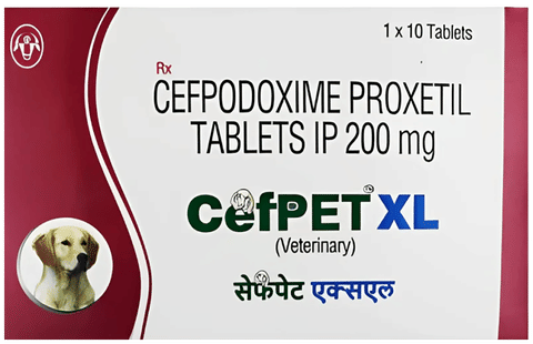 CefPET XL 200mg Tablet