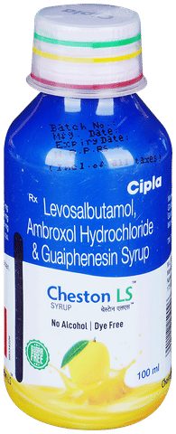 Cheston LS Syrup Mango No Alcohol,Dye Free and Sugar Free